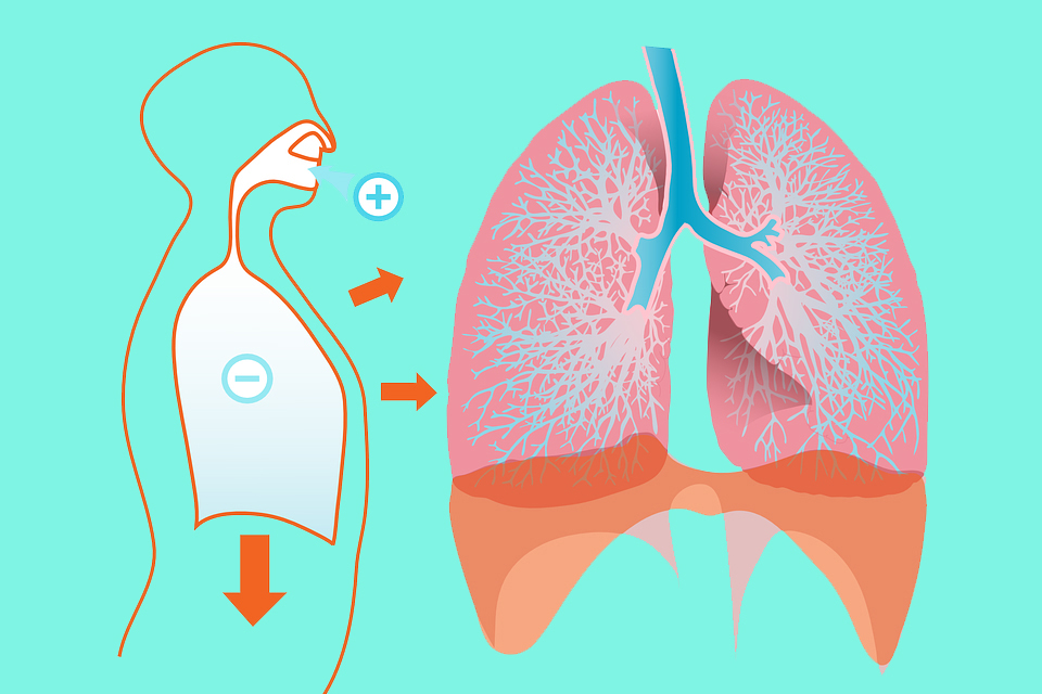 呼吸急促、喘或是咳嗽等慢性肺阻塞疾病症狀 可能因全球暖化而加重病情