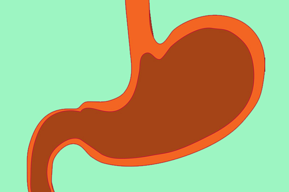 WHO宣布幽門螺旋桿菌為微生物型致癌物質！ 全台感染胃幽門螺旋桿菌人口高達1千多萬人