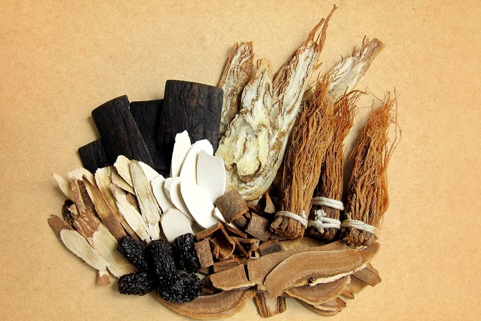 冬令時節該如何正確進補？ 多吃溫熱食補增強禦寒抗病能力