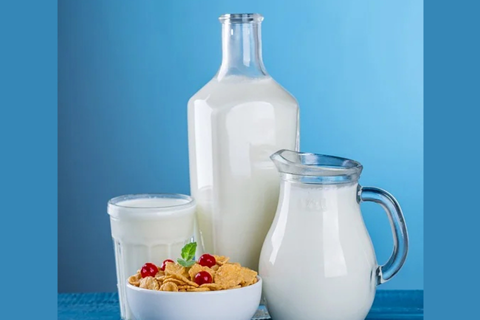 燕麥奶、豆奶、牛奶名稱雖然都有「奶」 屬於「全穀雜糧類」主要營養成分為醣類的是它