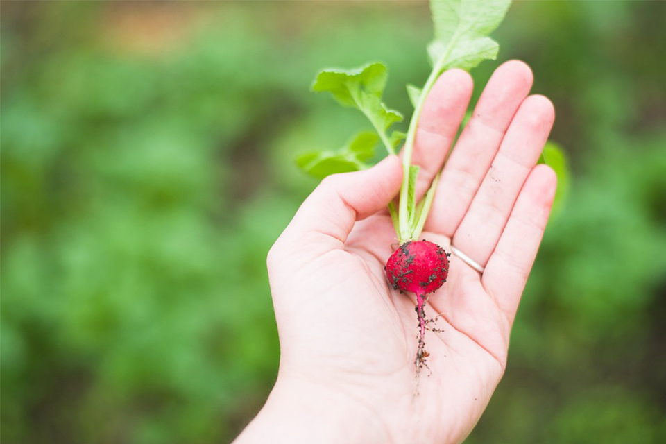 健康飲食和運動可降低帕金森氏症死亡風險 從現在開始對你的飲食做改變永不嫌晚