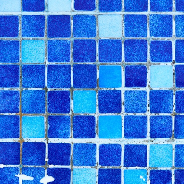 家中的黴菌會傷害你的健康！ 哪些人是高危險族群？如何預防？專家完整分析